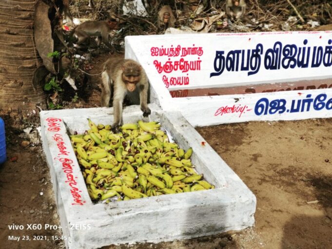 குரங்குகளின் தாகத்தை தீர்த்த தளபதி விஜய்யின் மக்கள் இயக்கம்!